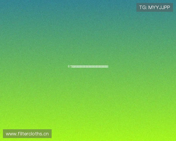 6T体育客户端全新升级体验，打造专业赛事资讯与互动平台